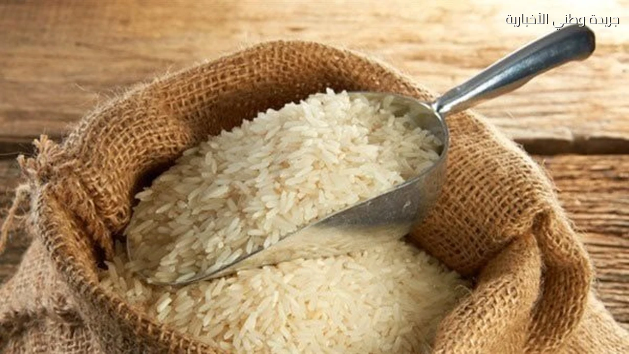الأرز بكام النهاردة؟ نقيب الفلاحين يكشف أسعار الشعير والأبيض