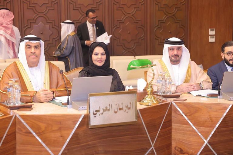 الدبلوماسية البرلمانية.. نشاط إماراتي مكثف لدعم استقرار وازدهار العالم - صورة 4
