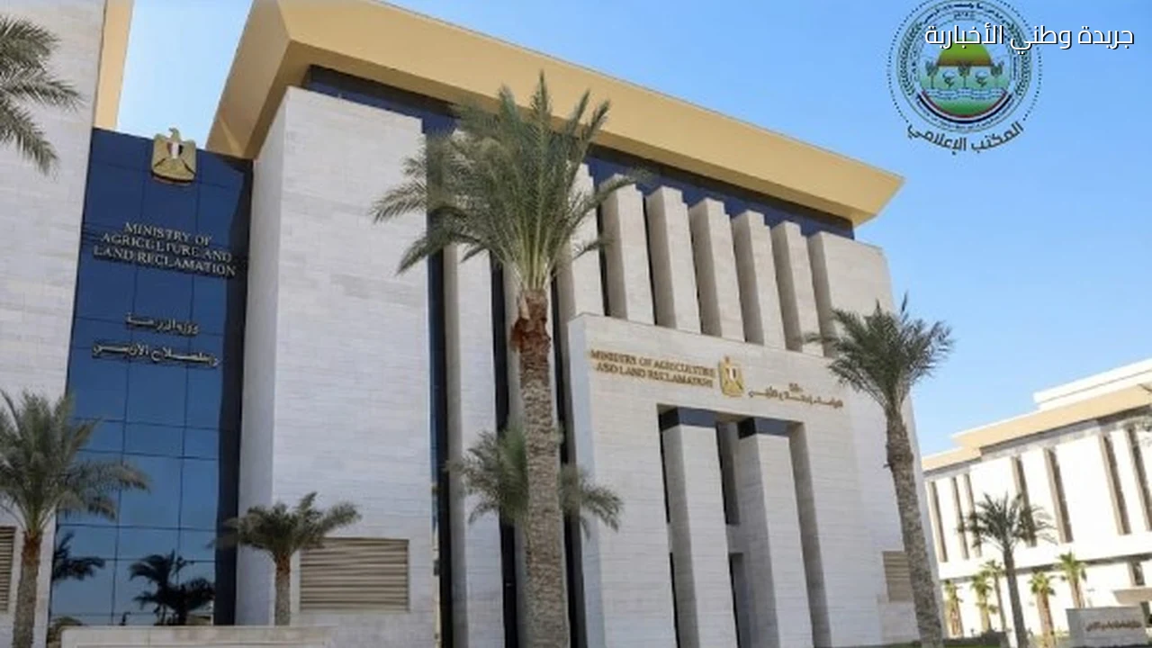 الزراعة تُطلق برنامجًا تدريبيًا حول الذكاء الاصطناعي واستخداماته في البرامج المكتبية