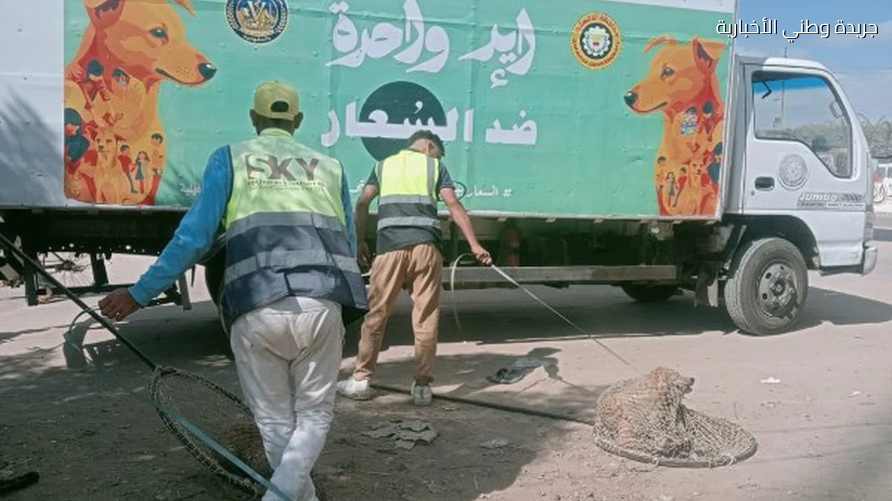 حملة مواجهة الكلاب الضالة بالدقهلية تصل طلخا